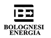 Bolognesi
